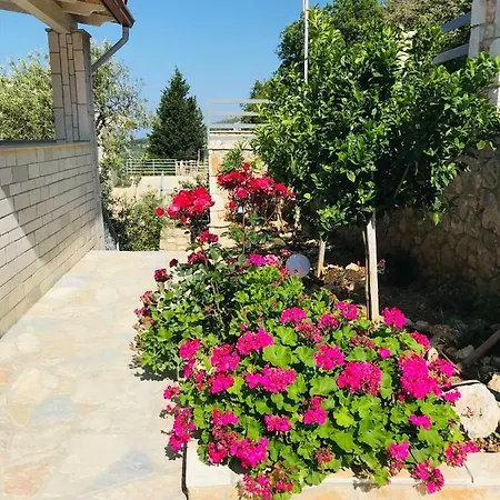 Vila Milo Vuno Exterior photo